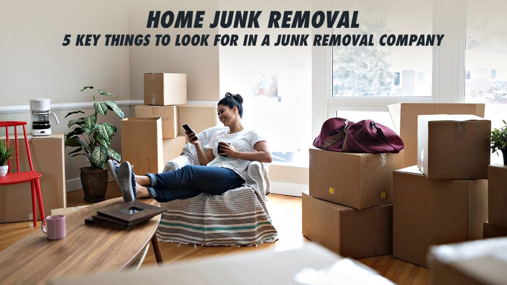 Junk Removal Service